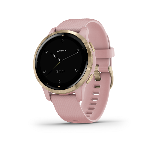 GarminActive S