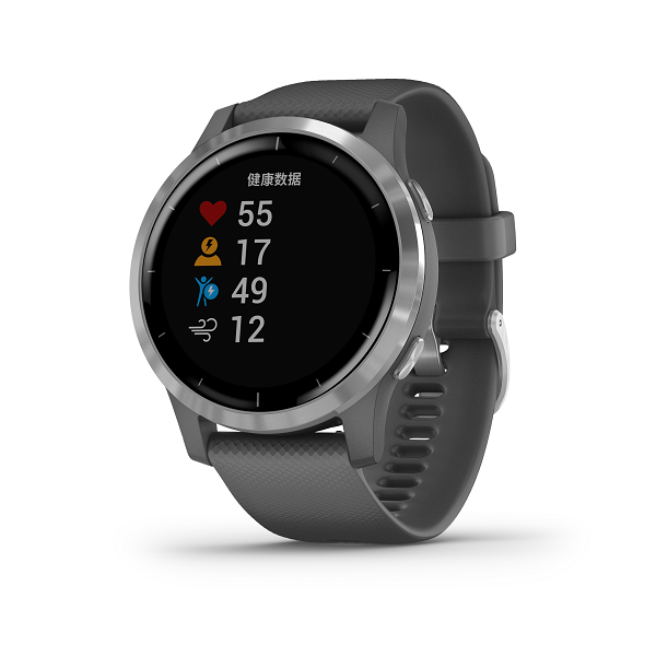 GarminActive 