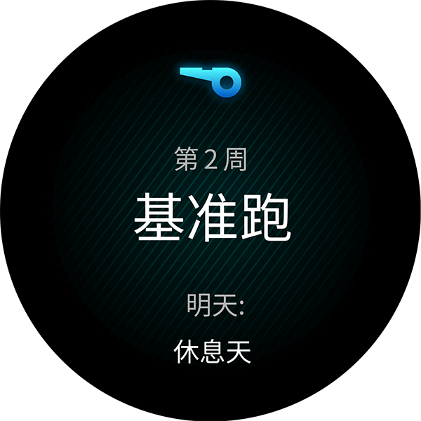 Venu 2 Plus 表盘